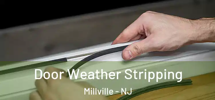 Door Weather Stripping Millville - NJ
