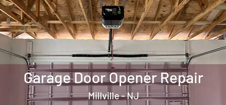  Garage Door Opener Repair Millville - NJ