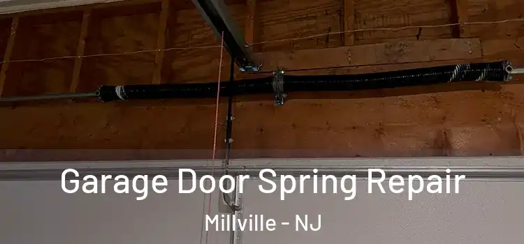  Garage Door Spring Repair Millville - NJ
