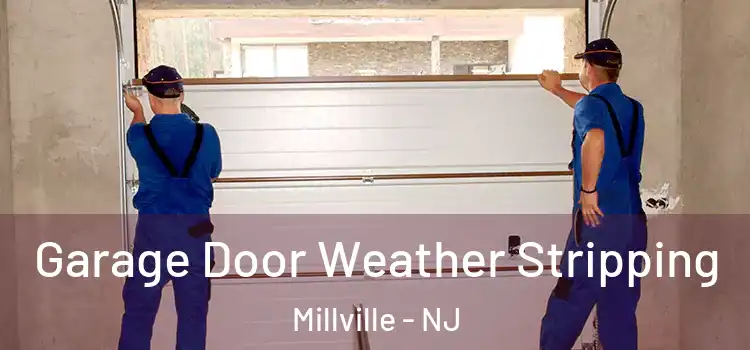  Garage Door Weather Stripping Millville - NJ